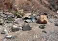 abandono-suciedad-playa-sarchal-convertida-vertedero-14