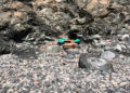 abandono-suciedad-playa-sarchal-convertida-vertedero-9