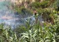 bomberos-incendio-arroyo-paneque-1