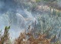 bomberos-incendio-arroyo-paneque-10