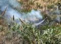 bomberos-incendio-arroyo-paneque-15