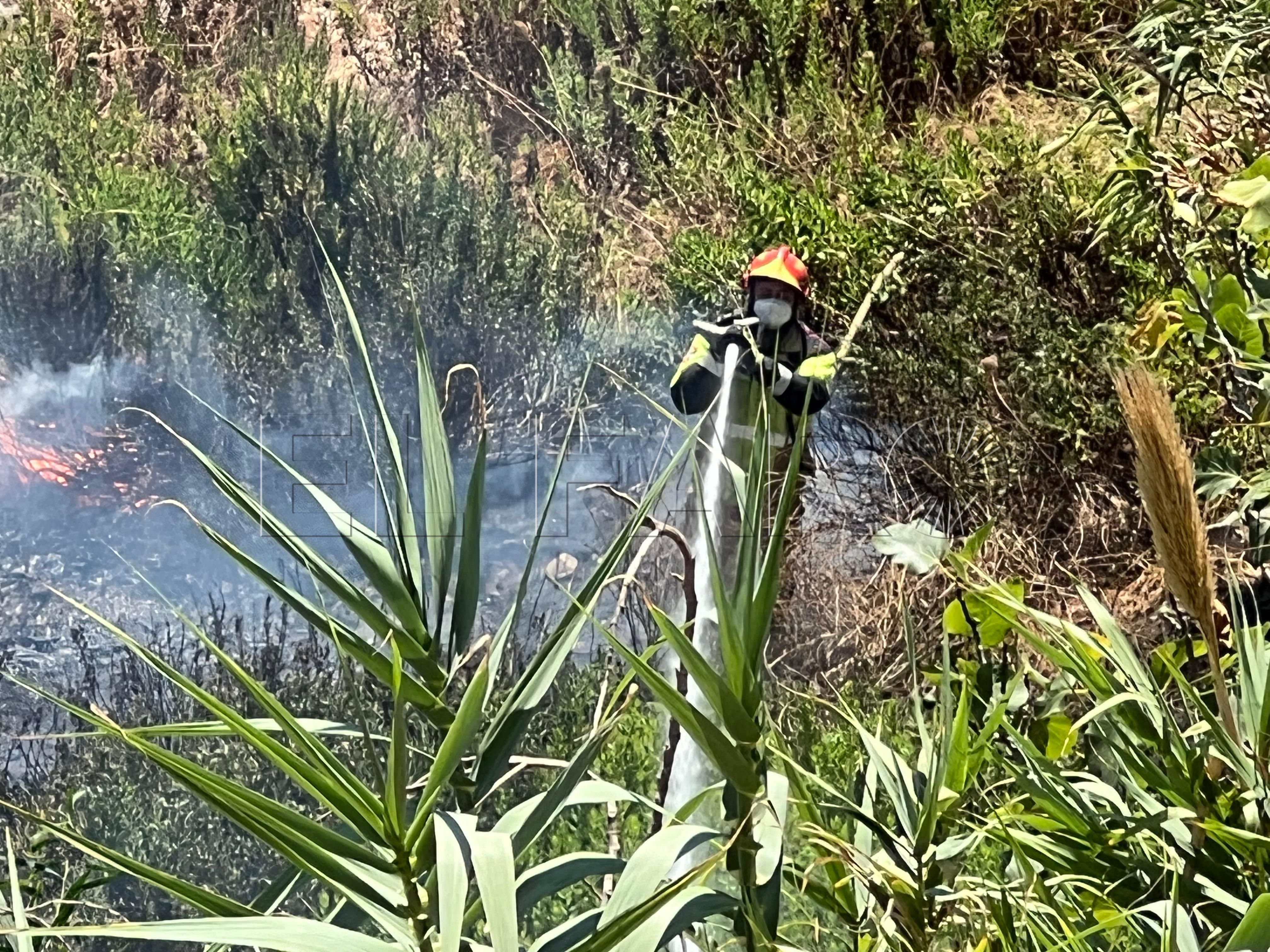 bomberos-incendio-arroyo-paneque-2