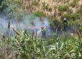 bomberos-incendio-arroyo-paneque-20