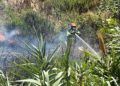 bomberos-incendio-arroyo-paneque-6