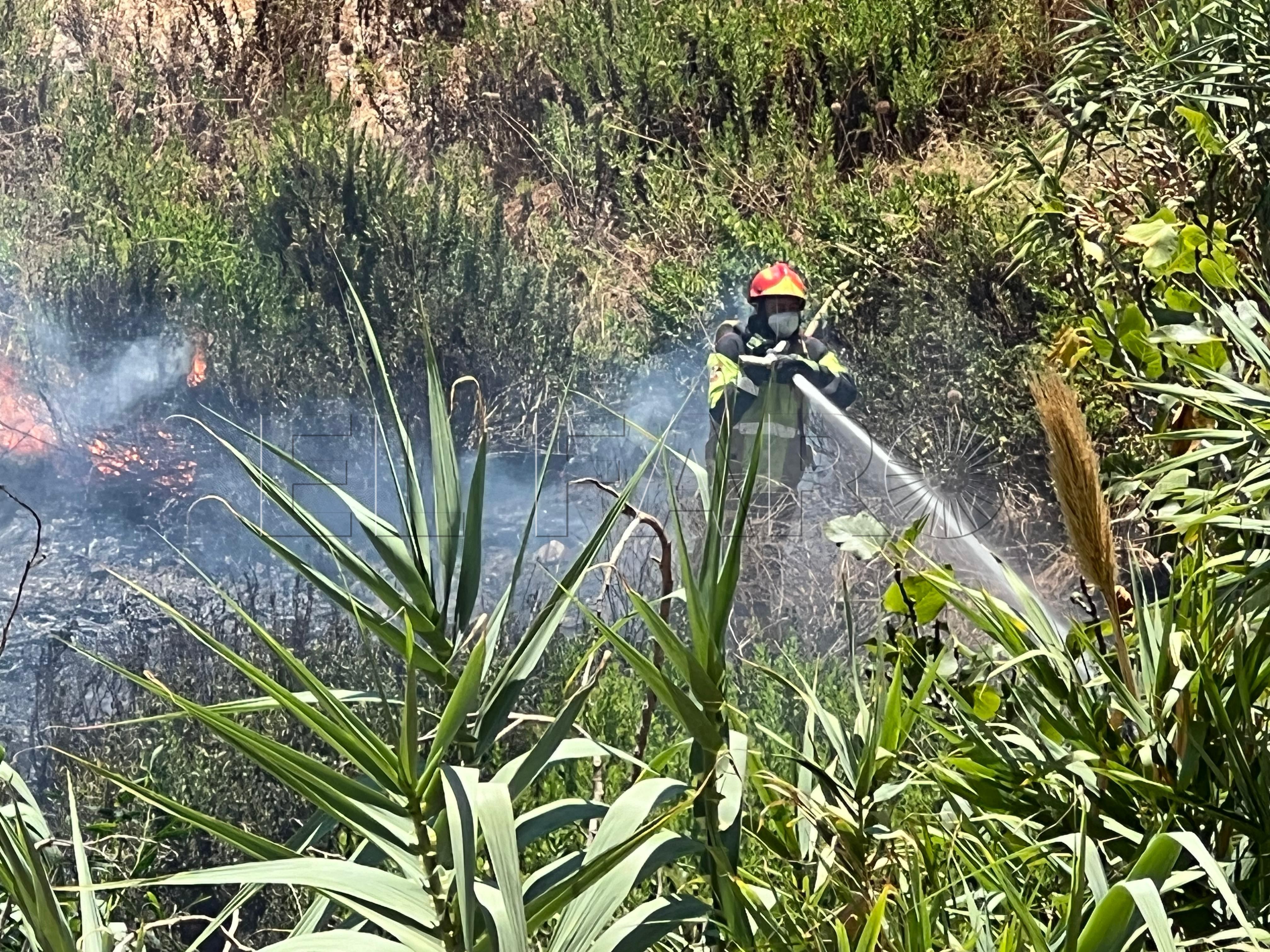 bomberos-incendio-arroyo-paneque-6