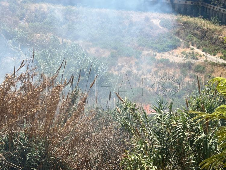 bomberos-incendio-arroyo-paneque-7