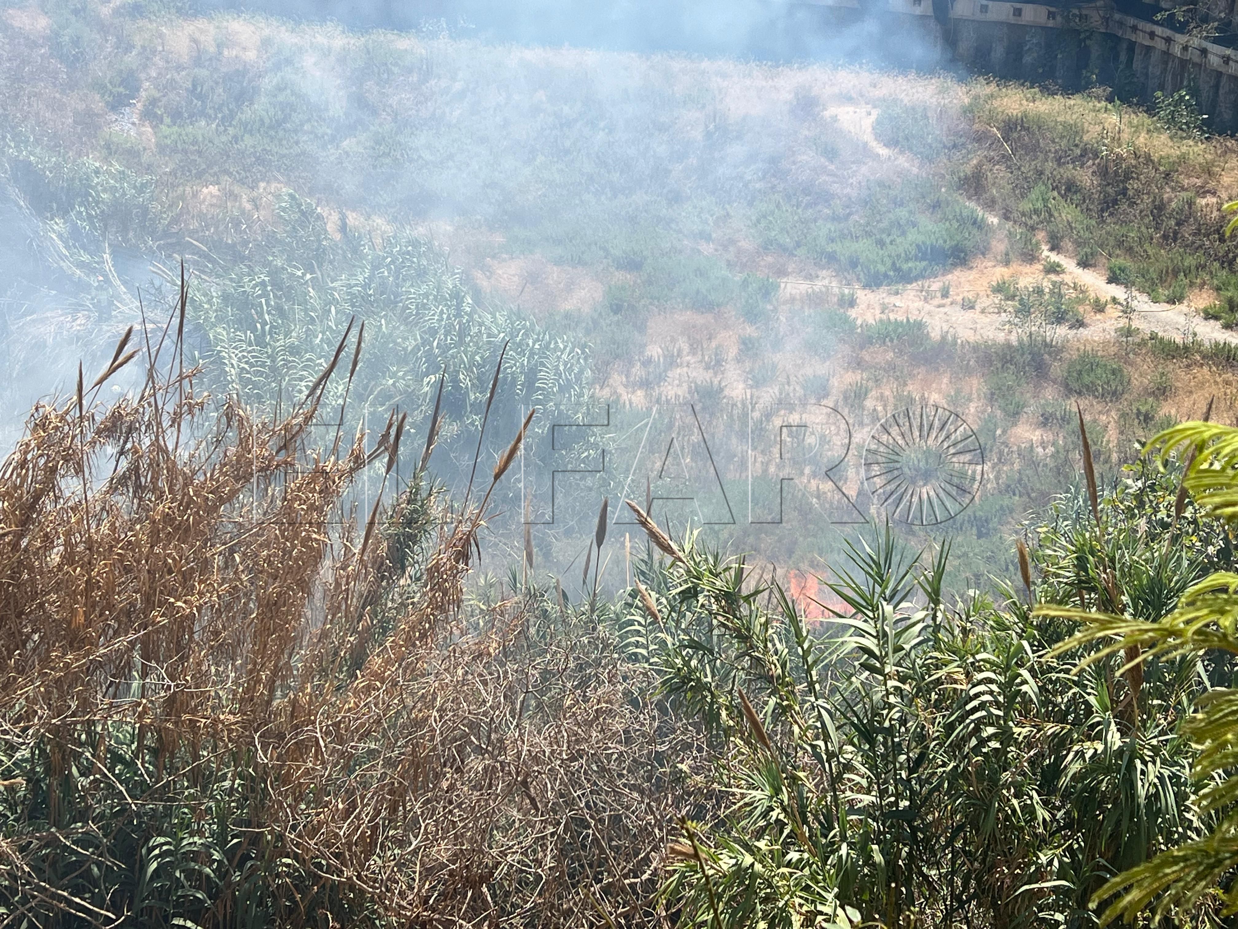 bomberos-incendio-arroyo-paneque-7