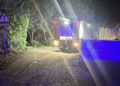 bomberos-incendio-forestal-betel-1