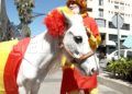 dudu-furia-celebran-victoria-espana-eurocopa-2