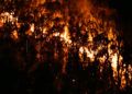 incendio-fuego-monte-hacho-3