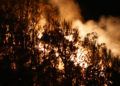 incendio-fuego-monte-hacho-5