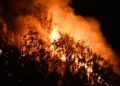 incendio-fuego-monte-hacho-6