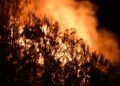 incendio-fuego-monte-hacho-7