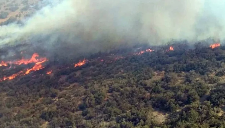 incendio-monte-bagaghaza-tanger-marruecos