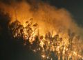 incendio-monte-hacho-2