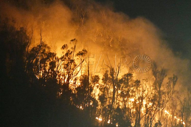 incendio-monte-hacho-2