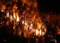 incendio-monte-hacho-4