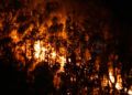 incendio-monte-hacho-6