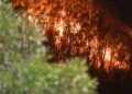 incendio-monte-hacho-8