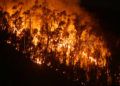 incendio-monte-hacho-9