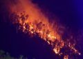incendio-monte-hacho-zona-oasis-2