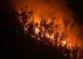 incendio-monte-hacho-zona-oasis-5
