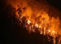 incendio-monte-hacho-zona-oasis-6