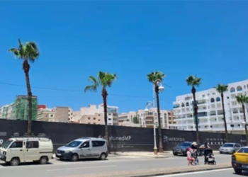 palmeras-marruecos