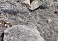 piedras-playa-benitez-2