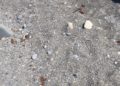 piedras-playa-benitez-4