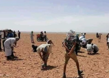 ciudadanos-buscan-restos-meteorito-ouarzazate-marruecos
