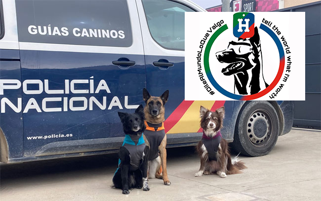 dia-mundial-perro-trabajo-heroes-cuatro-patas