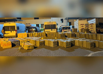 incautan-toneladas-hachis-detienen-supuestos-narcos-safi