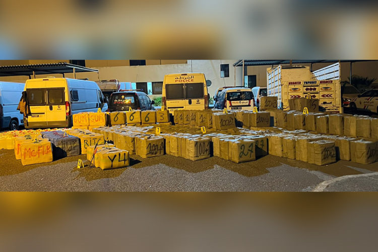 incautan-toneladas-hachis-detienen-supuestos-narcos-safi