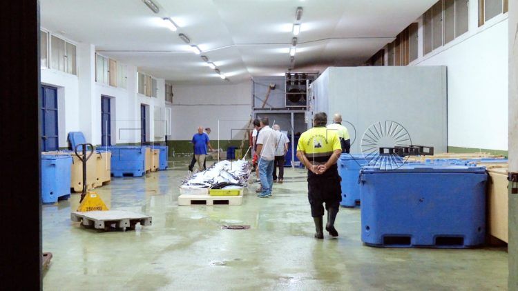 tradicion-no-se-puede-perder-pesca-lonja