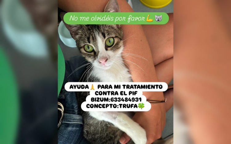 trufa-ayuda-tratamiento