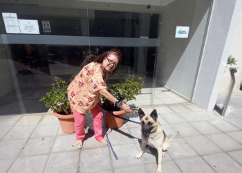 colaboracion-dia-mundial-perro-hermy-vicente