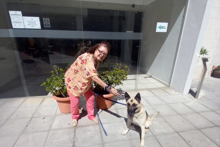 colaboracion-dia-mundial-perro-hermy-vicente