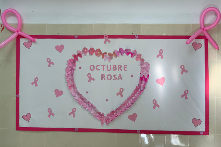 colegio-santa-amelia-dia-mundial-cancer-mama-2