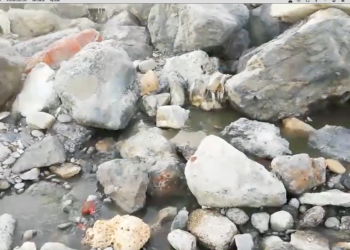 denuncia-daubma-vertido-aguas-fecales-fuente-caballos