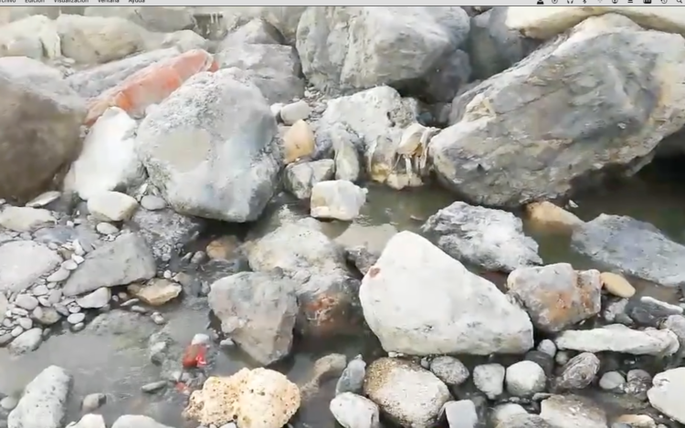 denuncia-daubma-vertido-aguas-fecales-fuente-caballos