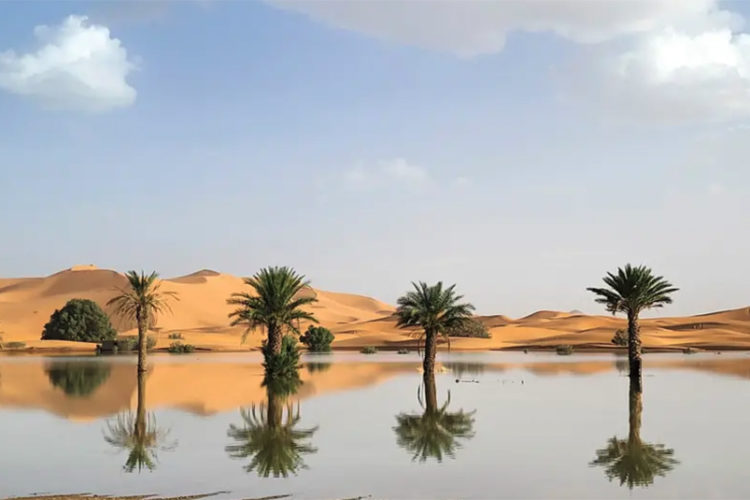 desierto-sahara-inundado-lluvias-espectaculo