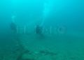 levanta-pescado-trabajo-almadrabeta-capitan-marineros-buzos-38