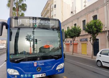 linea-autobus-11-003