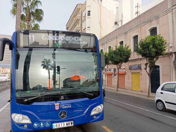 linea-autobus-11-003