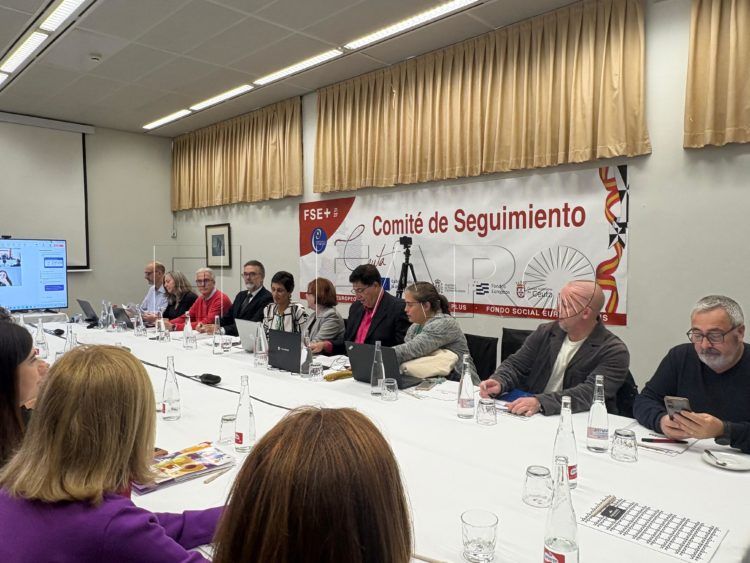 reunion-comite-seguimiento-programas-fondos-europeos-4