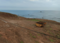 daubma-denuncia-limpieza-total-vegetacion-miramar-bajo-6