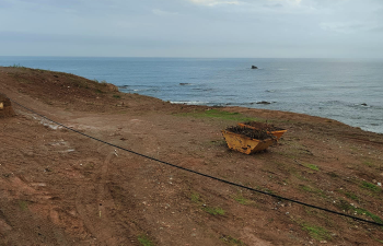 daubma-denuncia-limpieza-total-vegetacion-miramar-bajo-6