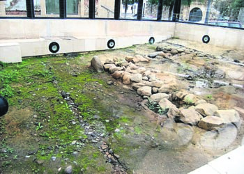 descubrimiento-yacimiento-plaza-catedral