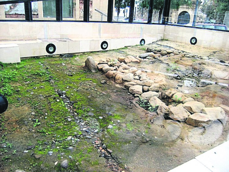 descubrimiento-yacimiento-plaza-catedral